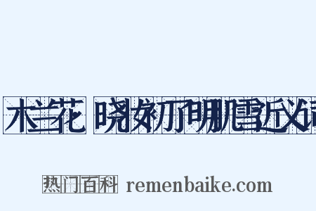 木兰花·晓妆初了明肌雪近义词是什么意思的图片